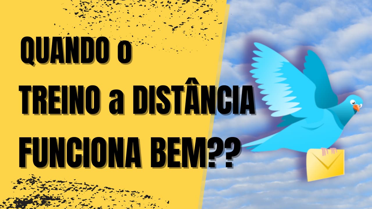 O Treino a Distância: Como e Quando Funciona?