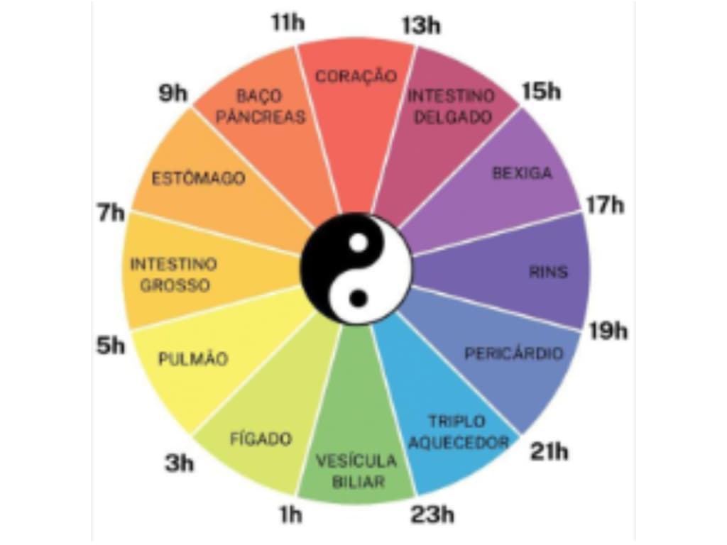 Infográfico do Relógio Biológico Chinês (Chinese Body Clock) dividindo as 24 horas do dia em janelas de 2 horas, destacando os picos de energia de órgãos como pulmões, coração e fígado.
